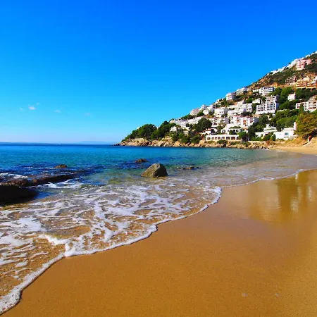 Ahinoa By Interhome Roses