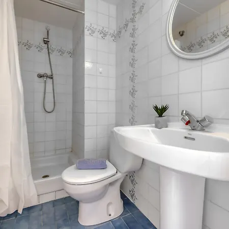 Ahinoa By Interhome Roses